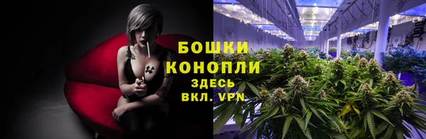 крисы Богородицк