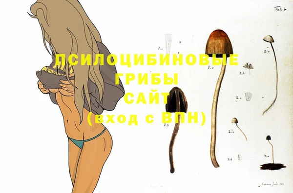 крисы Богородицк