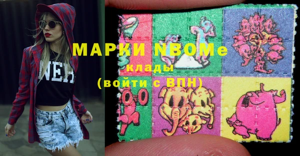 крисы Богородицк