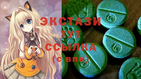 крисы Богородицк