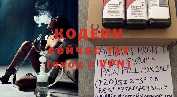 крисы Богородицк