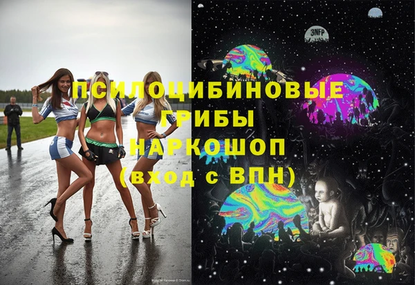 крисы Богородицк
