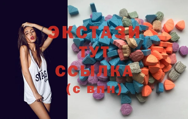 крисы Богородицк