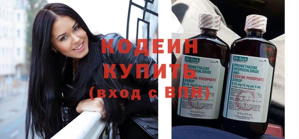 крисы Богородицк